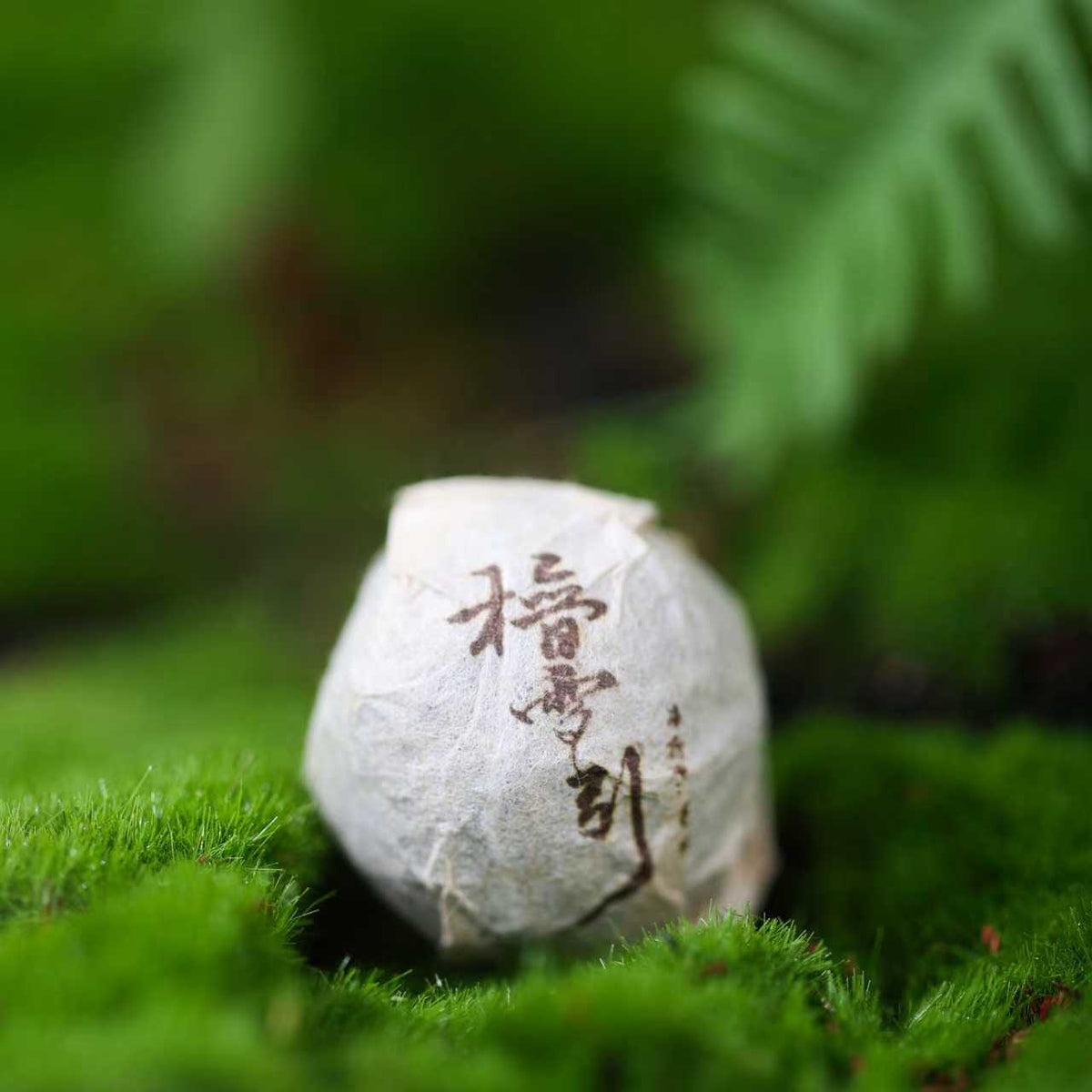 2008 Raw Pu'er "Sandalwood Snow Elegance" Pearl Tea — An Exquisite Gift