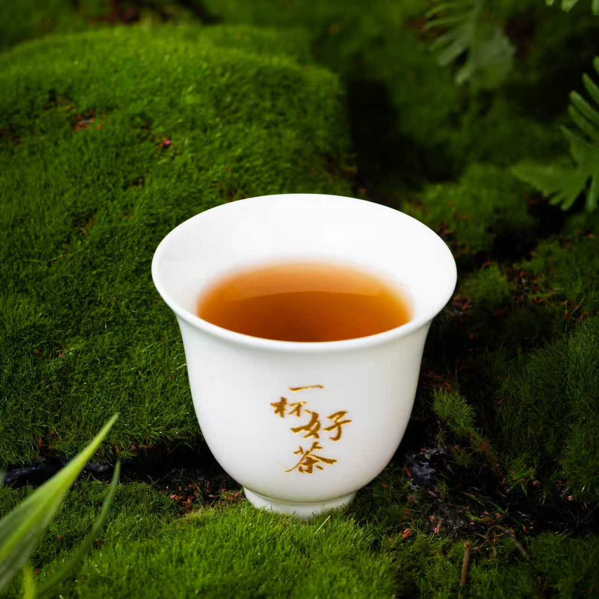 2008 Raw Pu'er "Sandalwood Snow Elegance" Pearl Tea — An Exquisite Gift