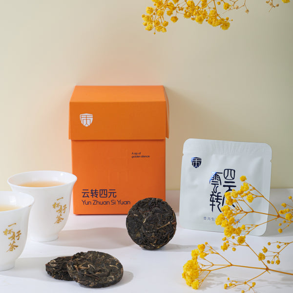 Tongqinghe Cloud Evolution Four Elements - 2025 New Craft Raw Pu-erh for Daily Enjoyment