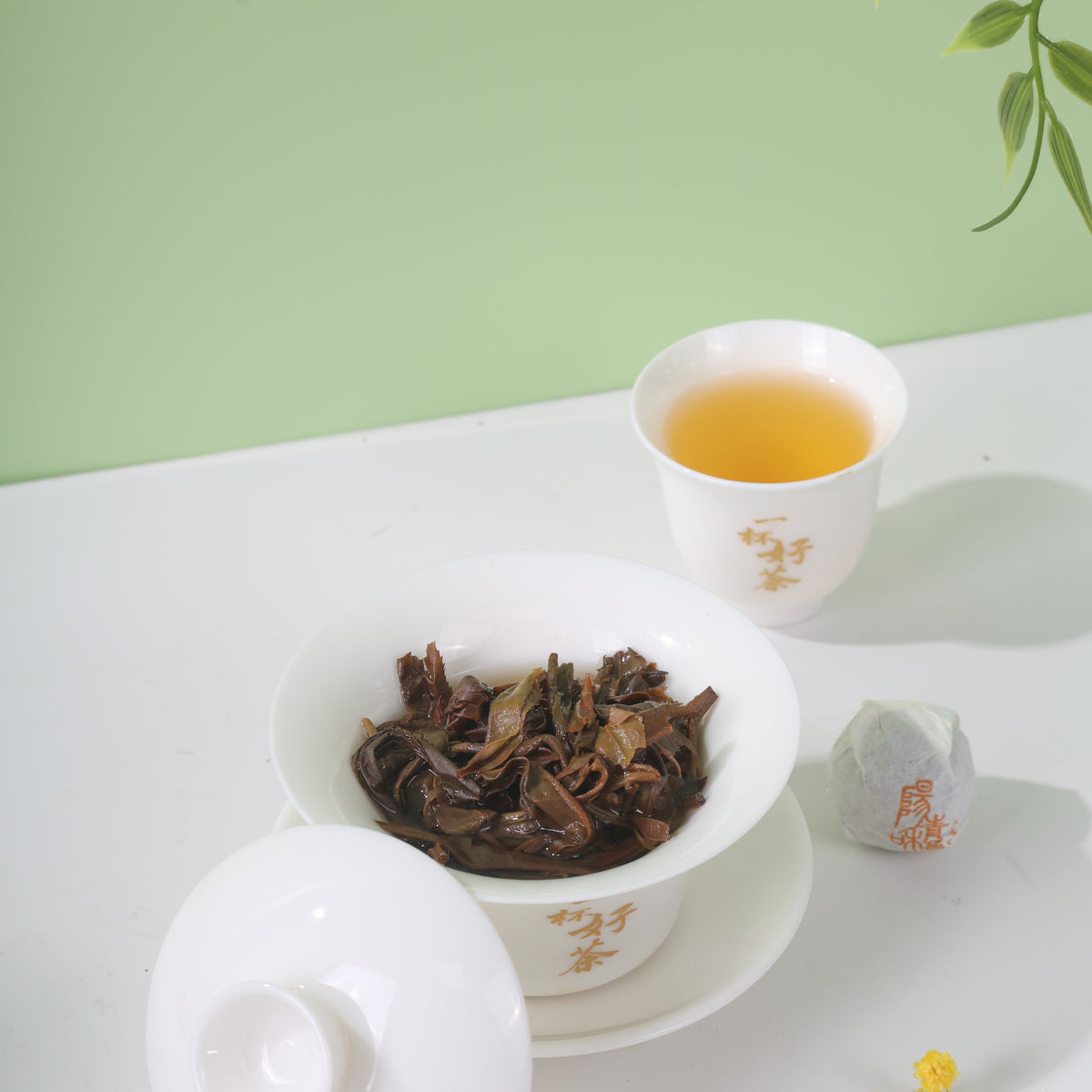 Sunshine Green Amber - New Craft Yunnan Raw Pu-erh for Daily Drinking